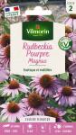 Fleurs - Rudbeckia Pourpre Magnus - PACKAGING_RECTO